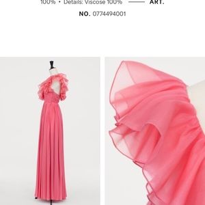 giambattista valli x h&m long silk dress